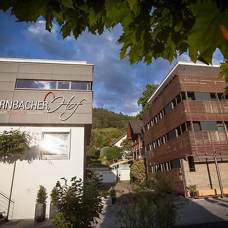 Bollenhuthotel Kirnbacher Hof 4*