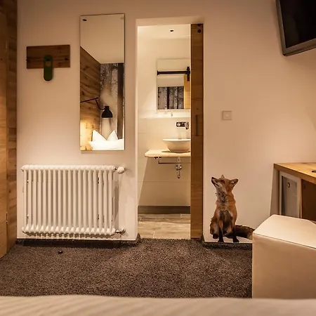 酒店 Bollenhuthotel Kirnbacher Hof 沃尔法赫