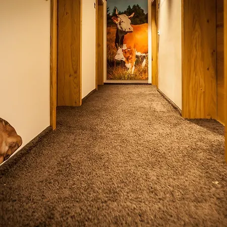 Bollenhuthotel Kirnbacher Hof 酒店 4*